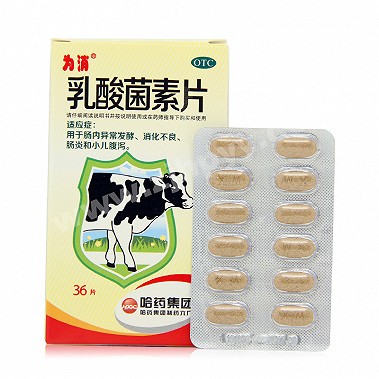 乳酸菌素片